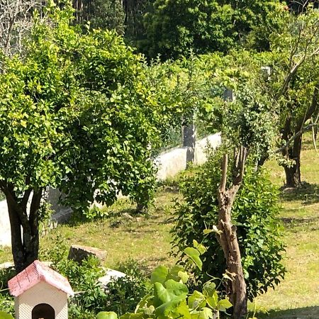 Tebra Casa Estrellaゲストハウス エクステリア 写真